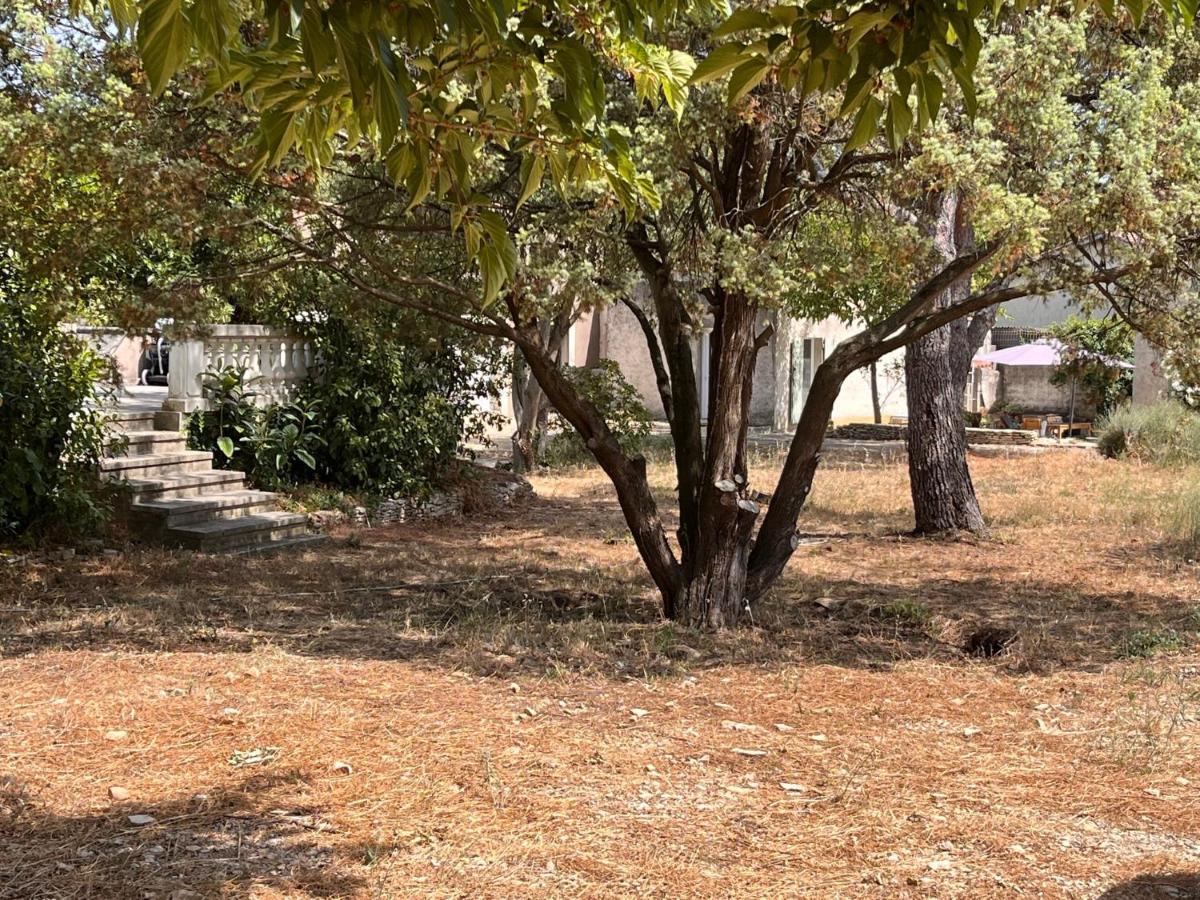Maisonnette Independante Avec Jardin/Patio Nîmes Dış mekan fotoğraf